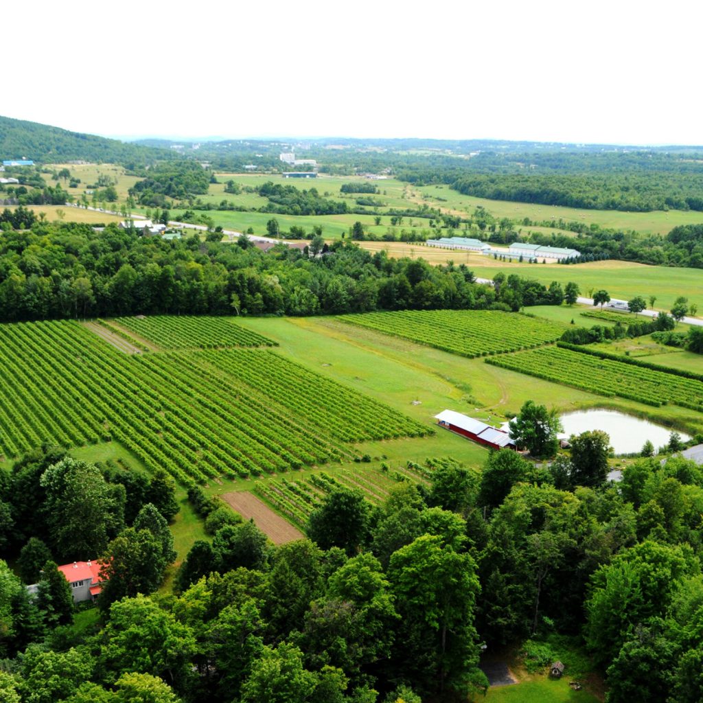 Lincoln+Peak+Vineyard+aerial+sq (1) | Swift House Inn aerial shot of lincoln peak vineyard in middlebury vermont