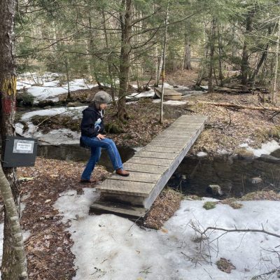 girl crossing bridge in a forest