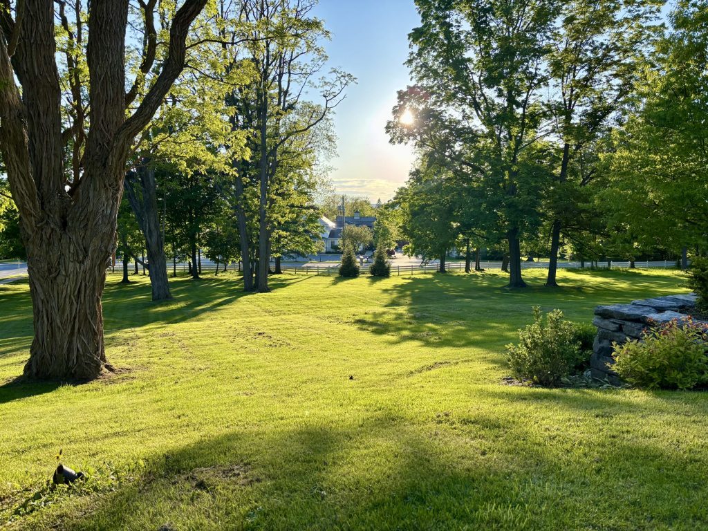 IMG_0646 | Swift House Inn Sunlit park lawn with tall trees, long shadows, and a stone wall on the right; houses visible in the distance under a clear sky.