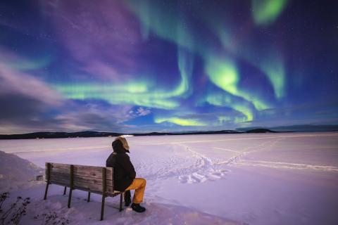swifthouseinn_hotel_middlebury_almostmaine Person seated on a wooden bench in a snowy landscape, gazing at green and purple northern lights across the night sky.
